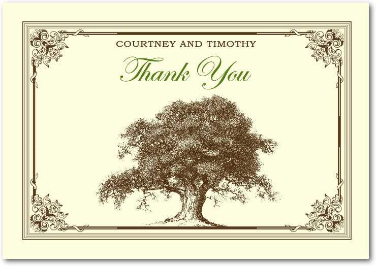 Old Towering Trees Liana Frame Thank You Card HPT010